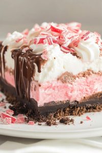 Chocolate Peppermint Lush Recipes