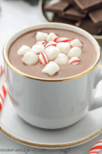 Crockpot Peppermint Hot Chocolate